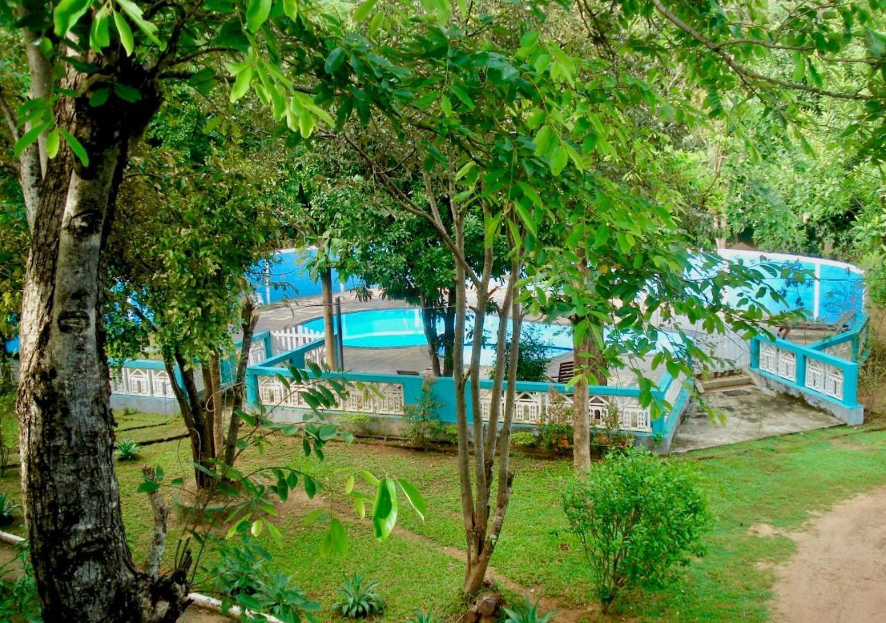 The Green Heaven Resort Sigiriya Bagian luar foto